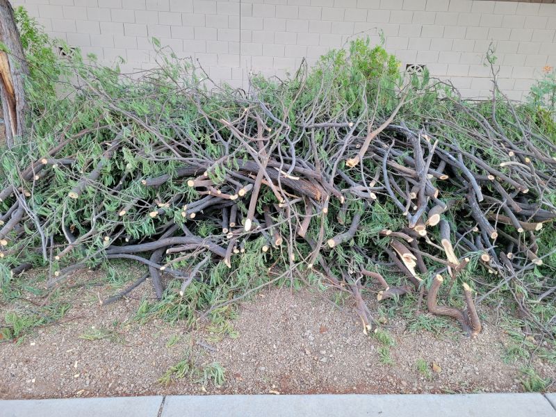 Seasonal Pine Trimming Collection