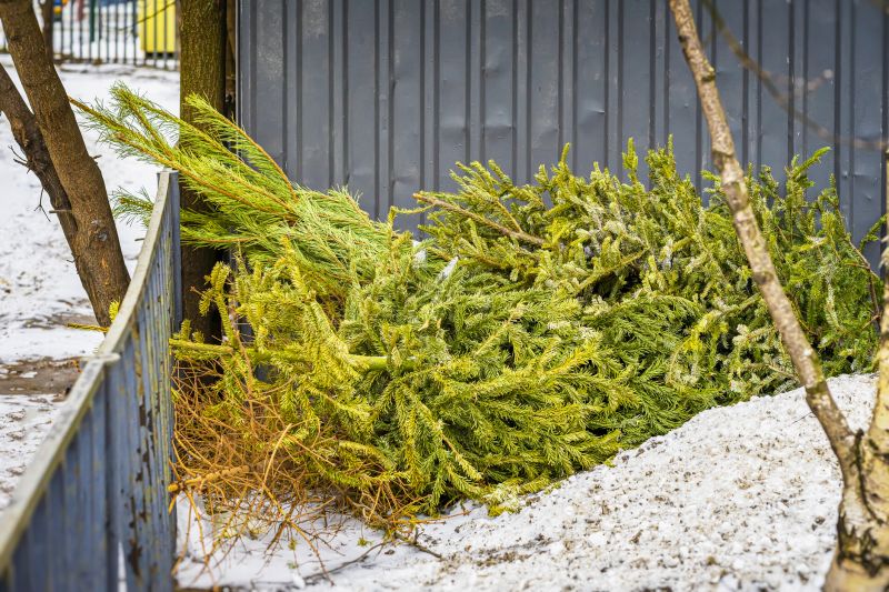 Fresh Pine Trimmings