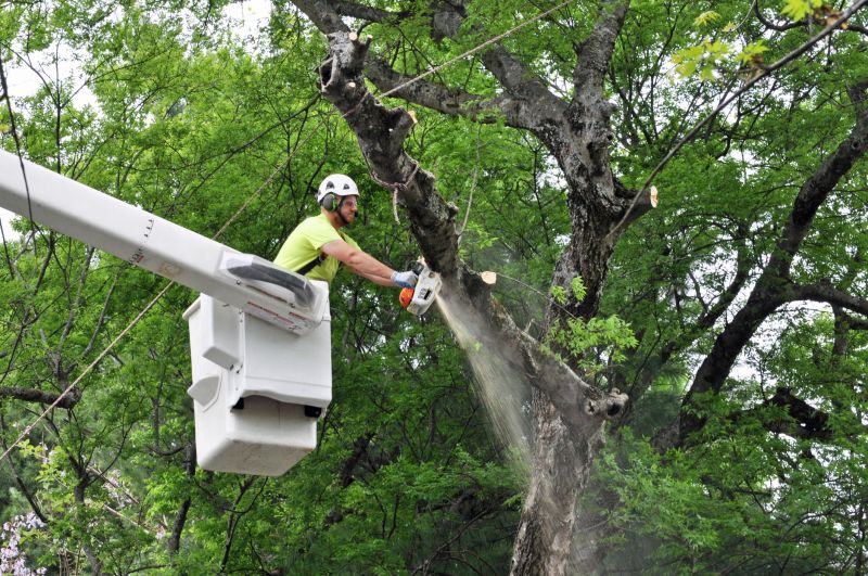 Tree Health Evaluation